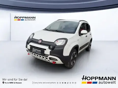 Annonce FIAT PANDA Essence 2024 d'occasion 