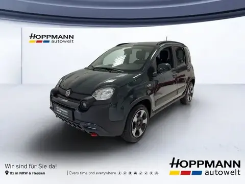 Annonce FIAT PANDA Essence 2024 d'occasion 