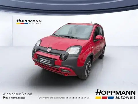 Annonce FIAT PANDA Essence 2024 d'occasion 