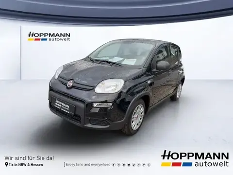 Annonce FIAT PANDA Essence 2024 d'occasion 