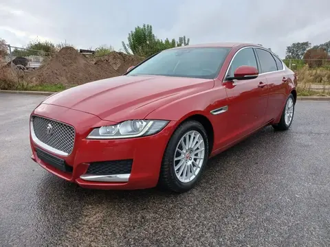 Annonce JAGUAR XF Diesel 2019 d'occasion 