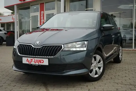 Used SKODA FABIA Petrol 2019 Ad 