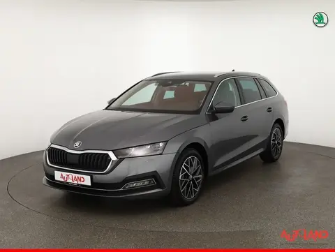 Annonce SKODA OCTAVIA Diesel 2023 d'occasion 