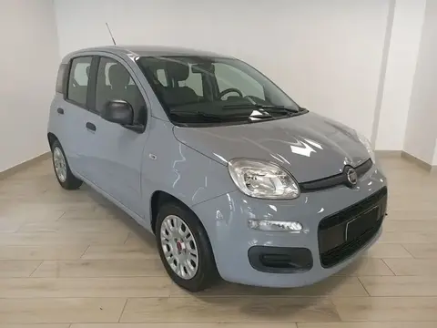 Annonce FIAT PANDA Hybride 2022 d'occasion 