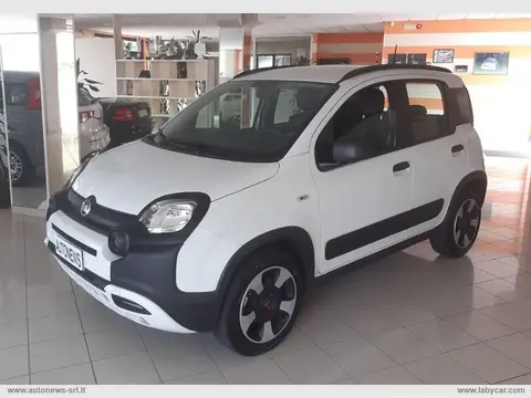 Used FIAT PANDA Hybrid 2021 Ad 