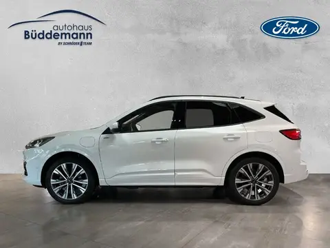 Annonce FORD KUGA Hybride 2024 d'occasion 