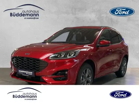 Annonce FORD KUGA Hybride 2024 d'occasion 