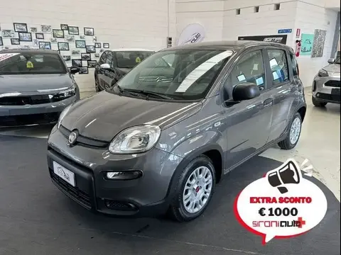 Annonce FIAT PANDA Hybride 2023 d'occasion 