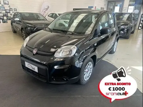 Used FIAT PANDA Hybrid 2023 Ad 