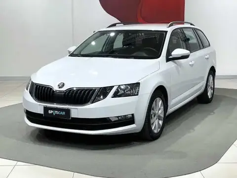 Annonce SKODA OCTAVIA Diesel 2019 d'occasion 