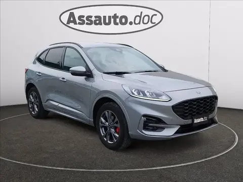 Used FORD KUGA Hybrid 2021 Ad 