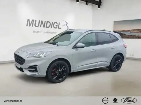 Annonce FORD KUGA Hybride 2024 d'occasion 