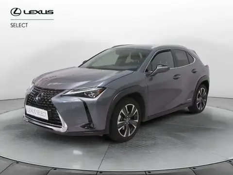 Used LEXUS UX Hybrid 2019 Ad 