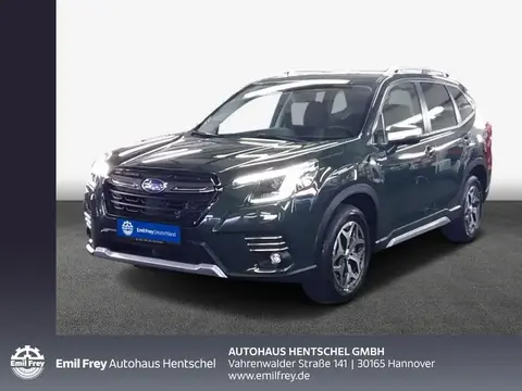 Annonce SUBARU FORESTER Hybride 2023 d'occasion 