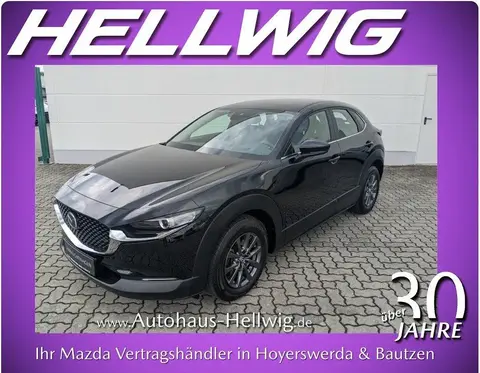 Used MAZDA CX-30 Petrol 2021 Ad 