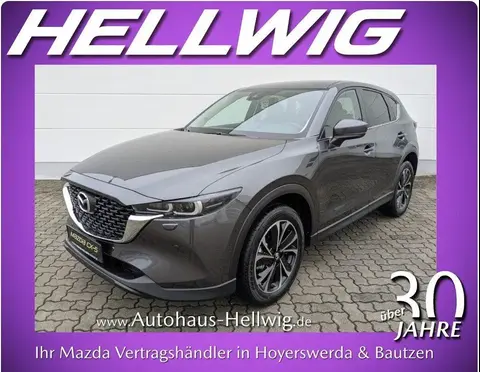 Used MAZDA CX-5 Petrol 2024 Ad 