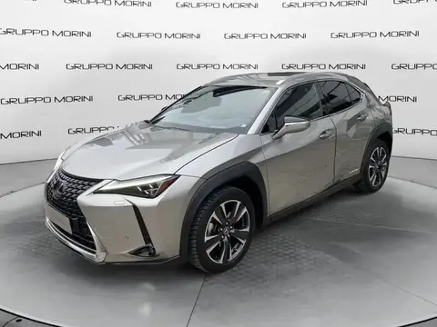 Used LEXUS UX Hybrid 2020 Ad 