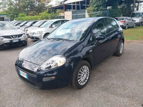 Used FIAT PUNTO Petrol 2016 Ad 