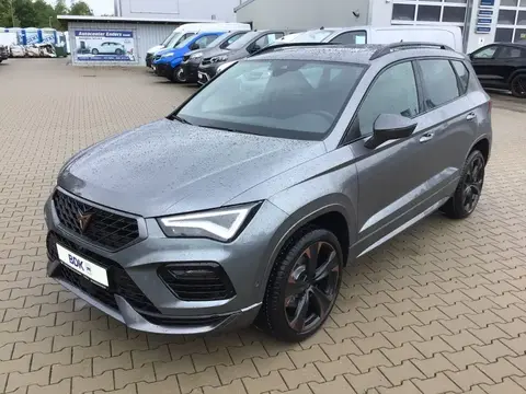 Annonce CUPRA ATECA Essence 2024 d'occasion 