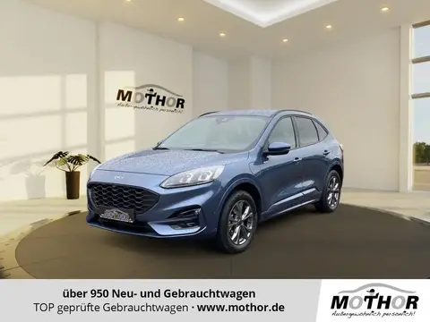 Annonce FORD KUGA Essence 2022 d'occasion 