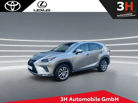 Used LEXUS NX Petrol 2019 Ad 