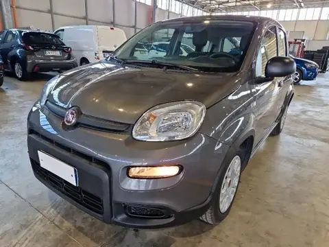 Used FIAT PANDA Hybrid 2023 Ad 