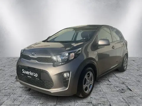 Used KIA PICANTO Petrol 2018 Ad 