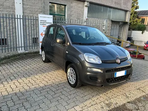 Used FIAT PANDA Petrol 2019 Ad 