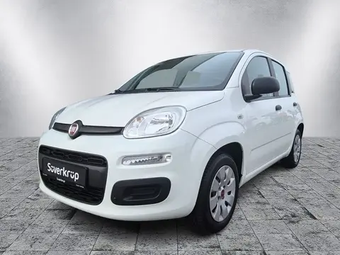 Annonce FIAT PANDA Essence 2018 d'occasion 