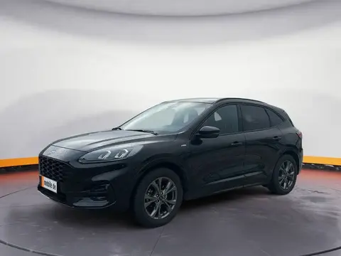 Annonce FORD KUGA Diesel 2022 d'occasion 