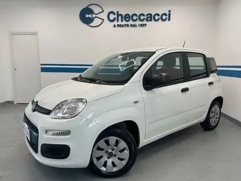 Used FIAT PANDA Petrol 2020 Ad 