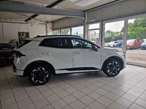 Used KIA SPORTAGE Petrol 2024 Ad 