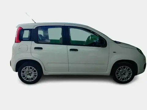 Annonce FIAT PANDA Essence 2019 d'occasion 