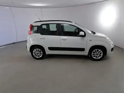 Used FIAT PANDA Petrol 2019 Ad 