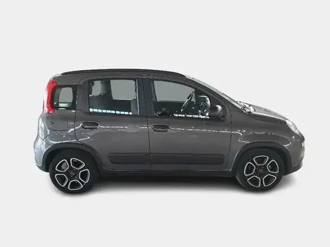 Annonce FIAT PANDA Hybride 2021 d'occasion 