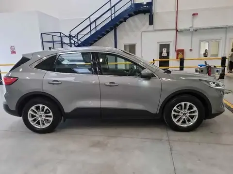 Used FORD KUGA Diesel 2020 Ad 