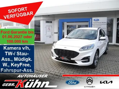 Used FORD KUGA Hybrid 2023 Ad 