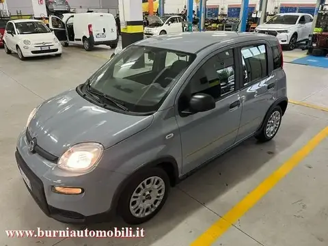 Used FIAT PANDA Hybrid 2022 Ad 