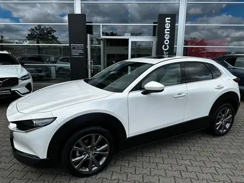 Annonce MAZDA CX-30 Essence 2020 d'occasion 