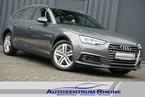 Annonce AUDI A4 Essence 2017 d'occasion 