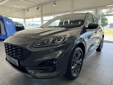 Annonce FORD KUGA Hybride 2024 d'occasion 