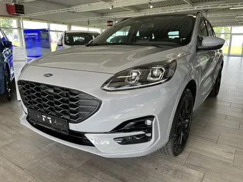 Annonce FORD KUGA Hybride 2024 d'occasion 