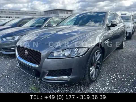 Used JAGUAR XF Diesel 2017 Ad 