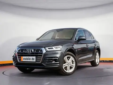 Used AUDI Q5 Hybrid 2021 Ad 