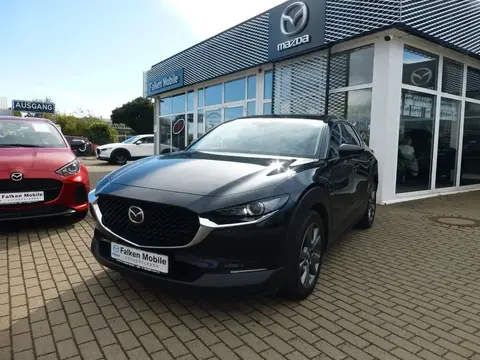 Annonce MAZDA CX-30 Essence 2020 d'occasion 