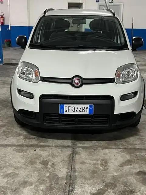 Used FIAT PANDA Hybrid 2021 Ad 