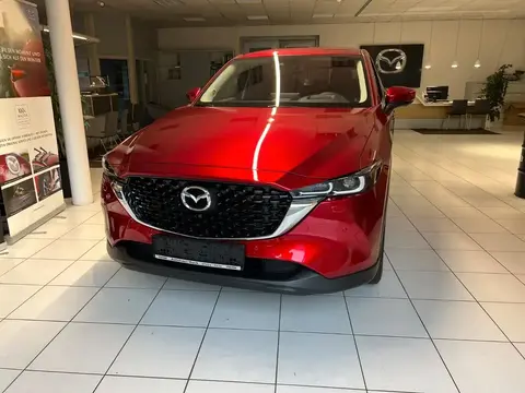 Annonce MAZDA CX-5 Essence 2024 d'occasion 