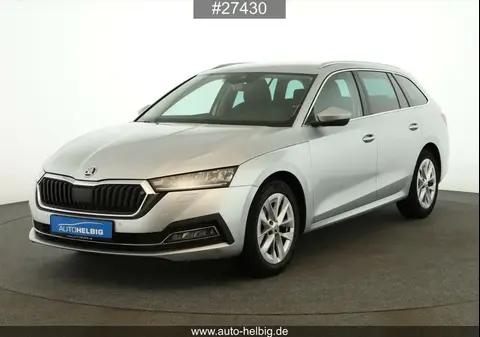 Annonce SKODA OCTAVIA Diesel 2020 d'occasion 