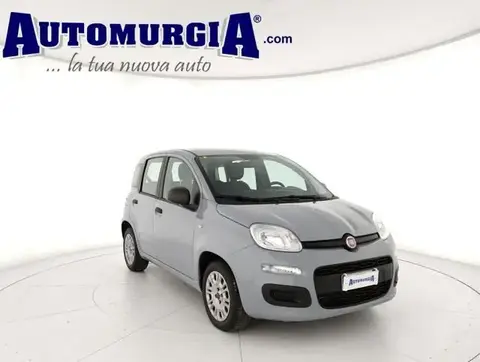 Annonce FIAT PANDA Diesel 2018 d'occasion 