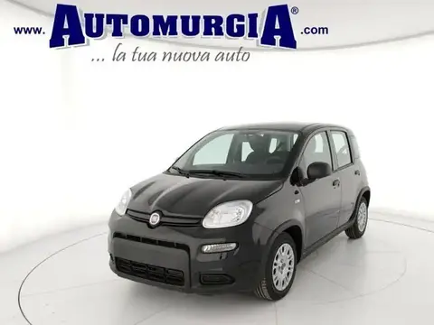 Annonce FIAT PANDA Hybride 2024 d'occasion 